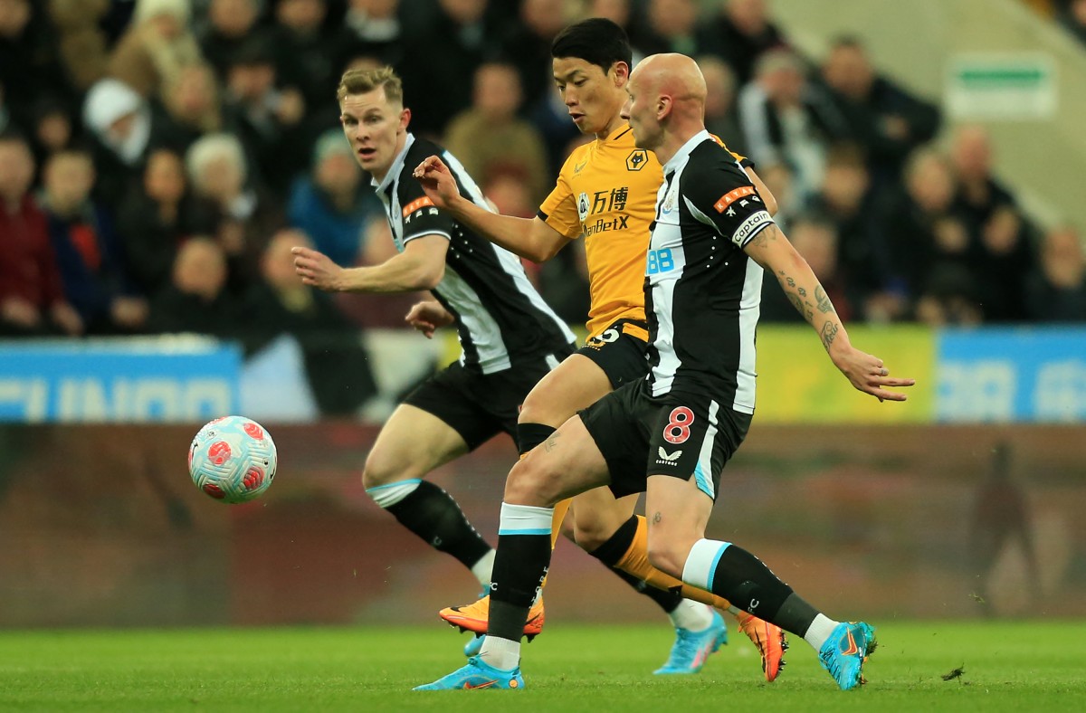 Newcastle Wolves Shelvey