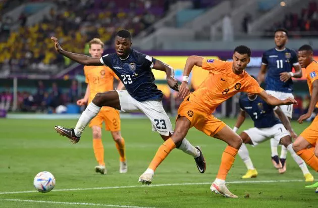 netherlands vs ecuador world cup cody gakpo
