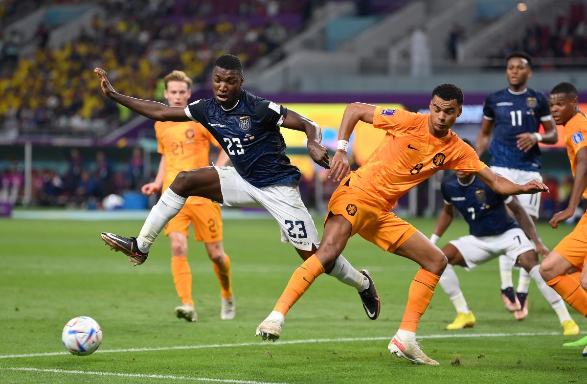 netherlands vs ecuador world cup cody gakpo