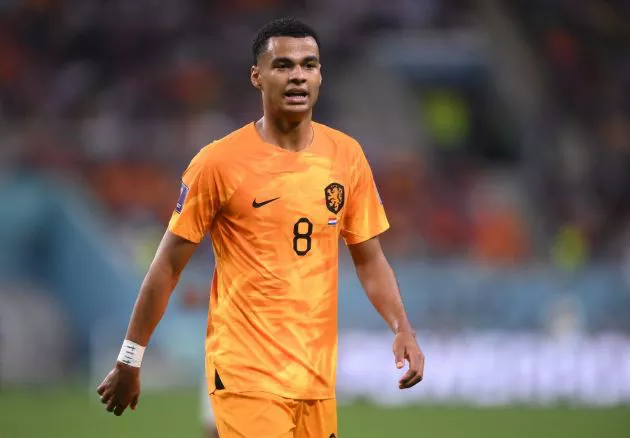 netherlands world cup gakpo
