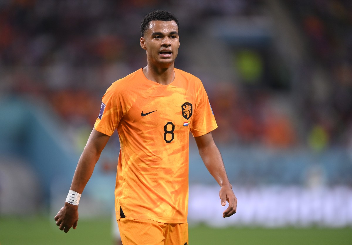 netherlands world cup gakpo netherlands world cup gakpo