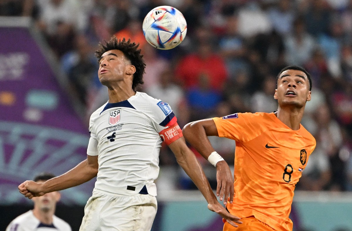 usa holland adams gakpo
