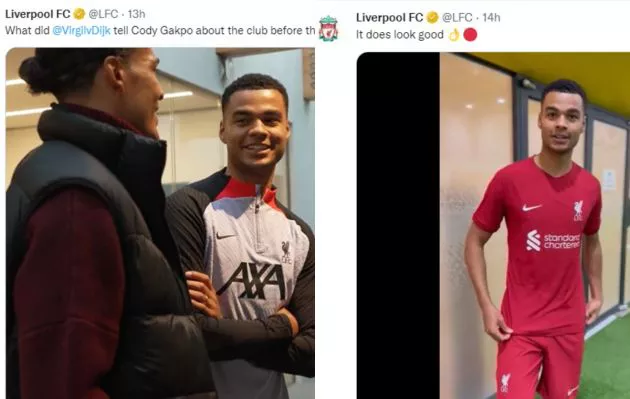 van dijk gakpo twitter