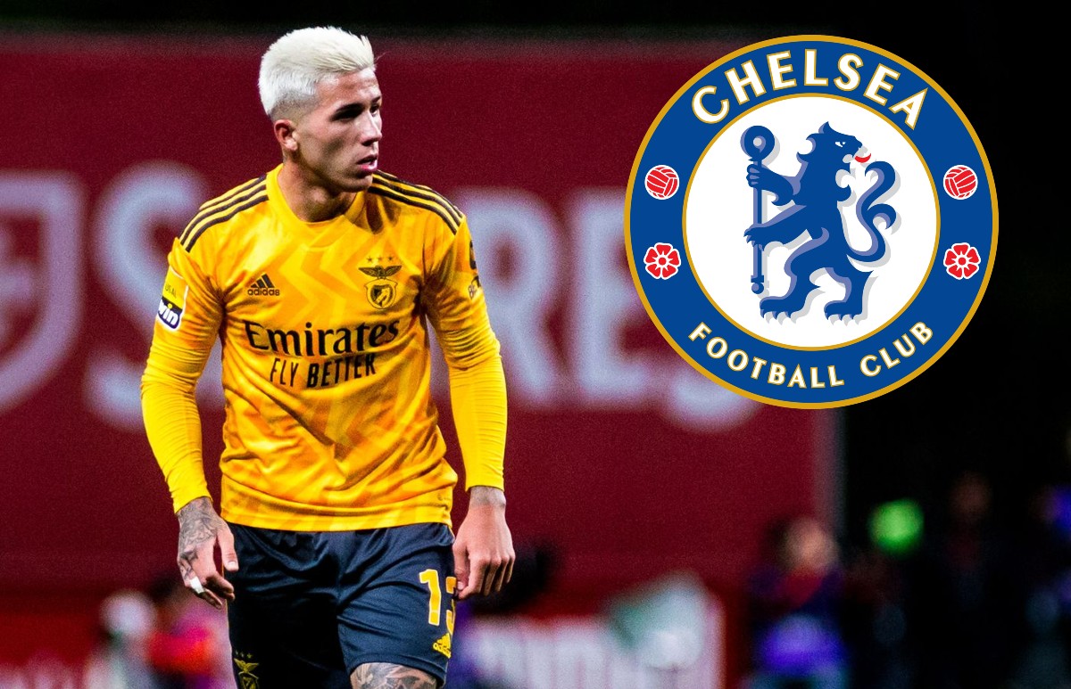 Enzo Fernandez Chelsea