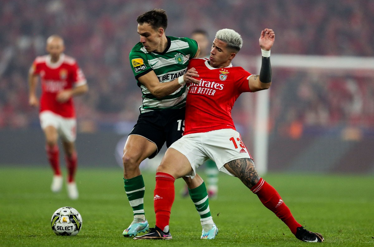 benfica vs sporting lisbon enzo fernandez