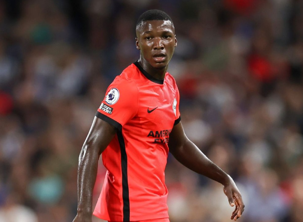 brighton fc caicedo