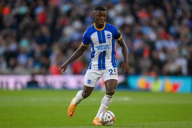 brighton fc moises caicedo