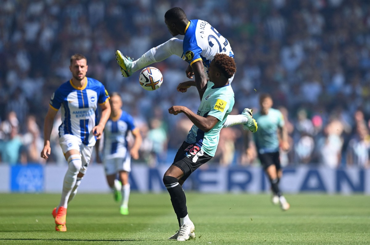 brighton newcastle caicedo willock