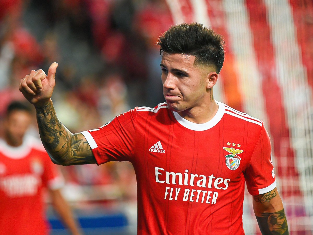 enzo fernandez enzo fernandez