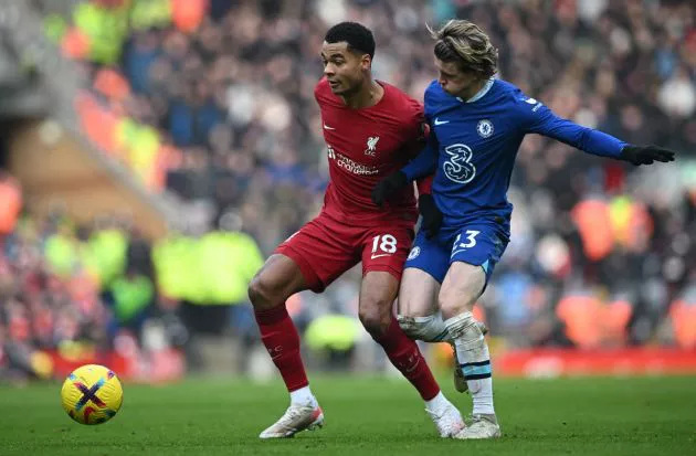 gakpo gallagher liverpool chelsea