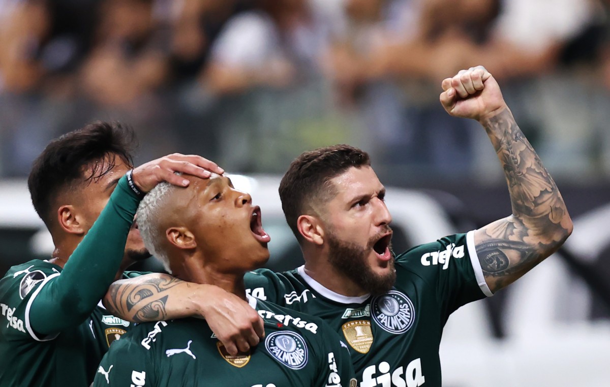 palmeiras atletico mineiro danilo pic