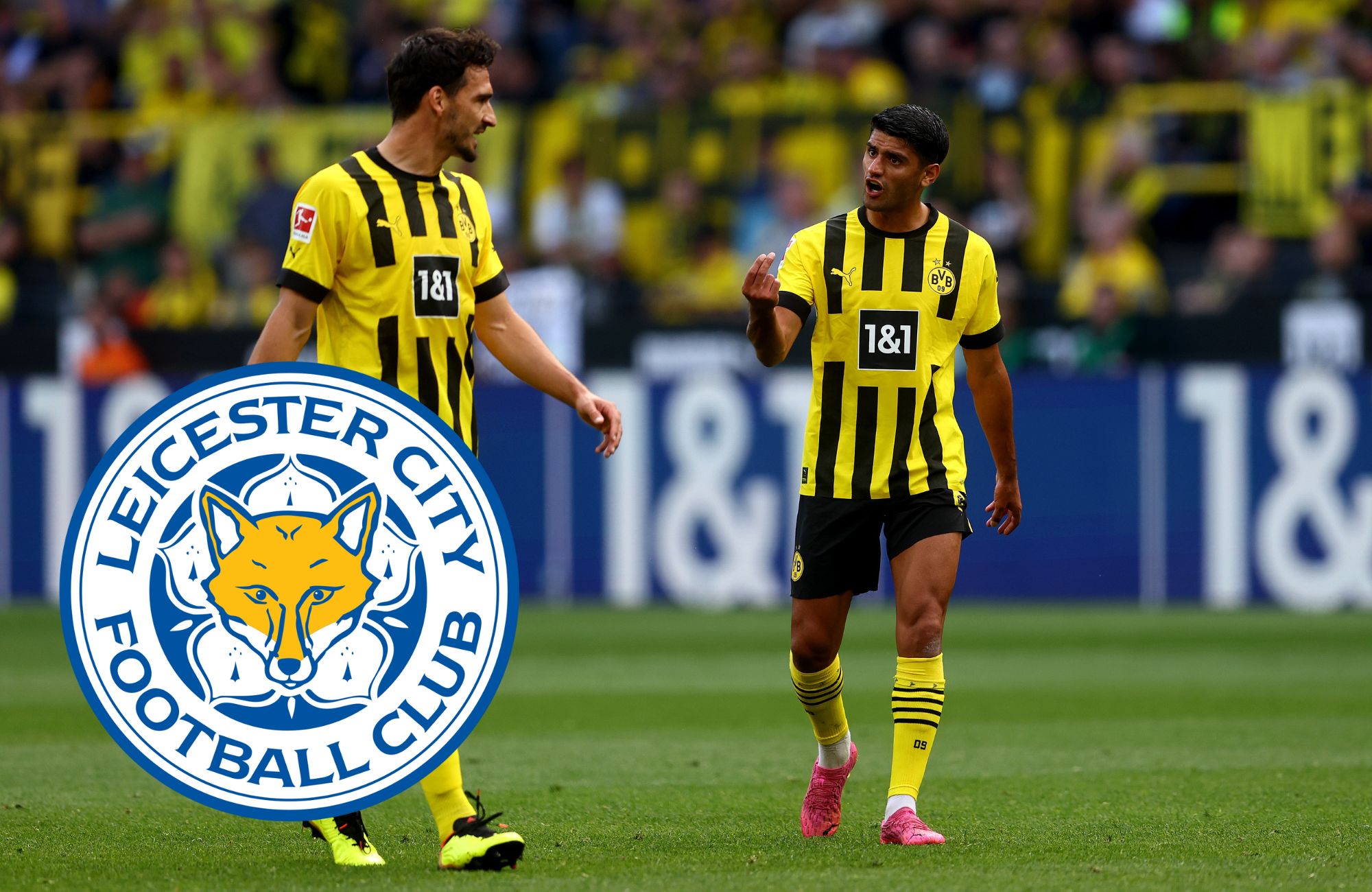 Dahoud, Leicester