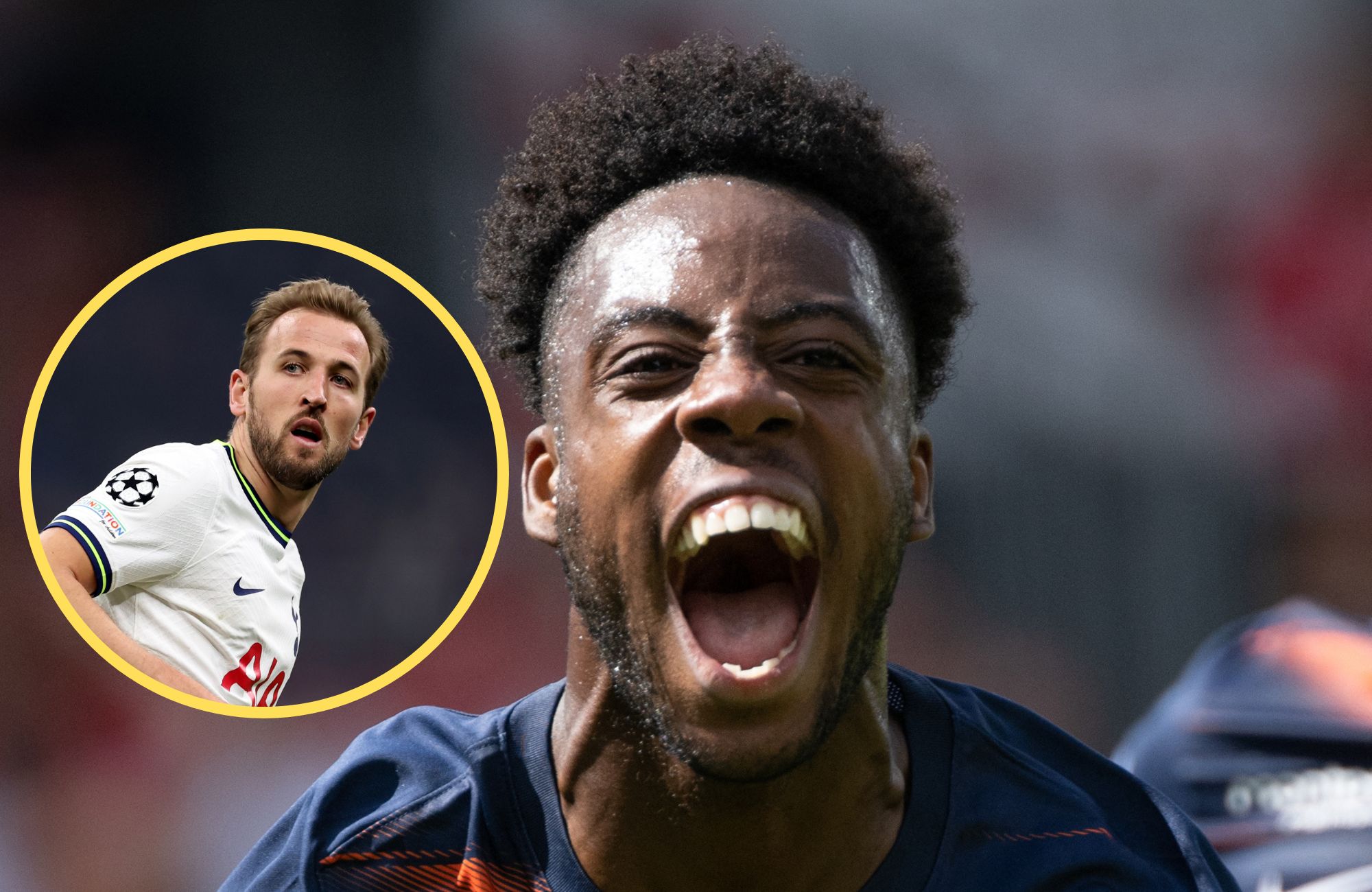 Kane, Wahi