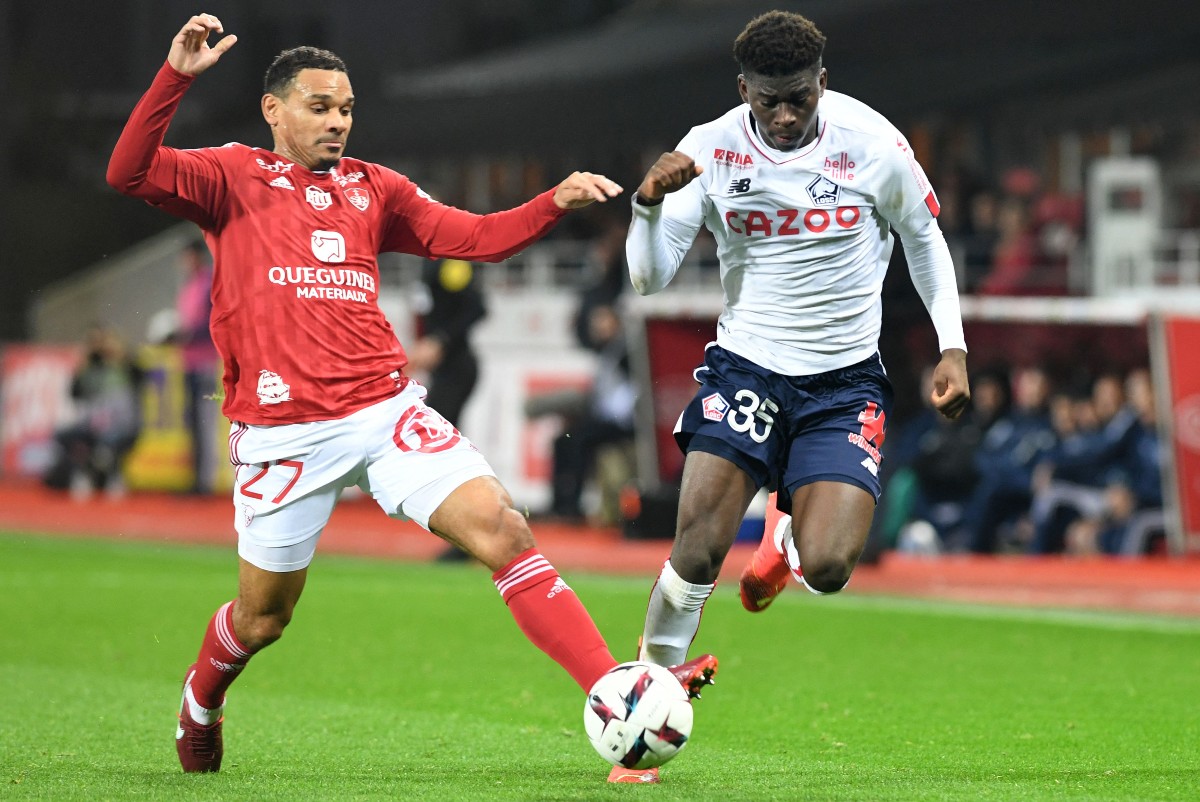 baleba lille baleba lille