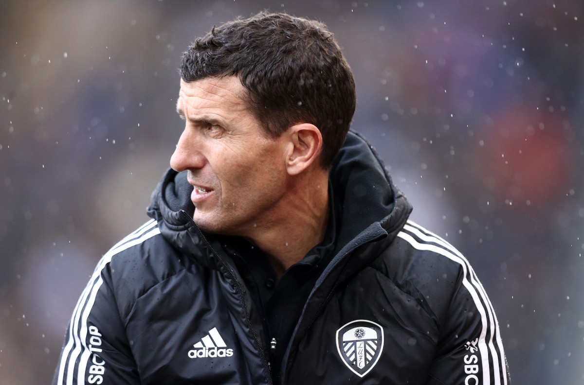 leeds v wolves javi gracia