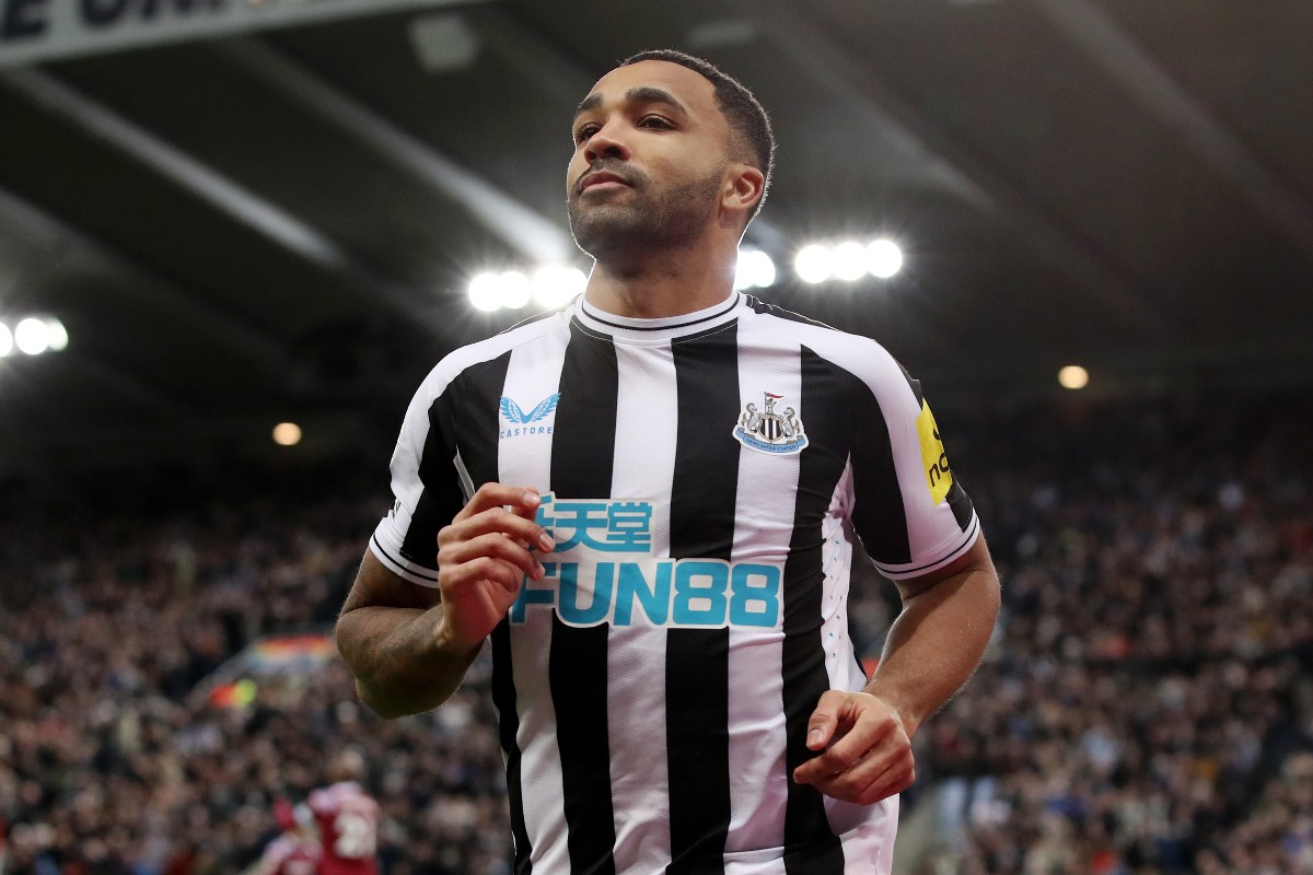 newcastle west ham wilson