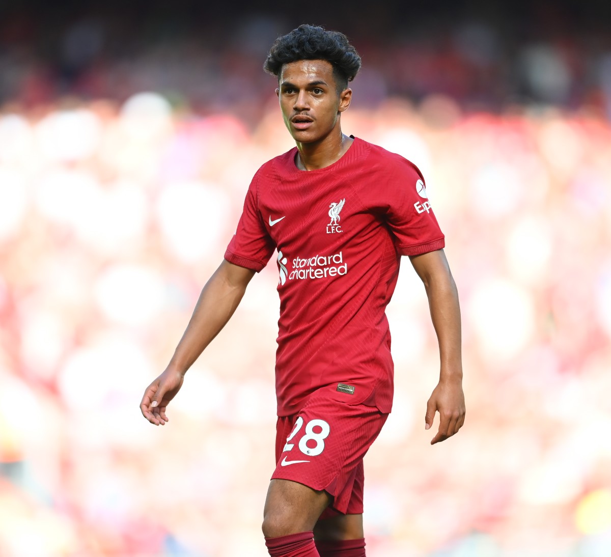 Carvalho LFC Carvalho LFC