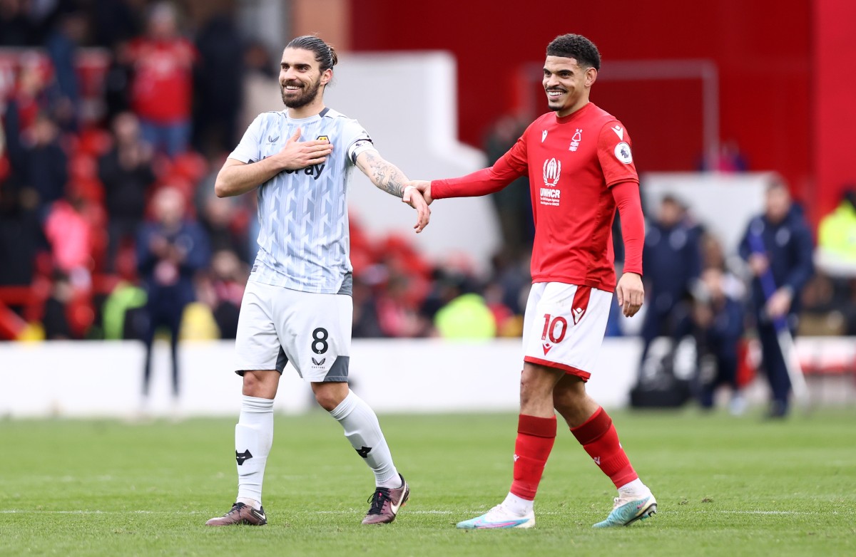forest wolves neves