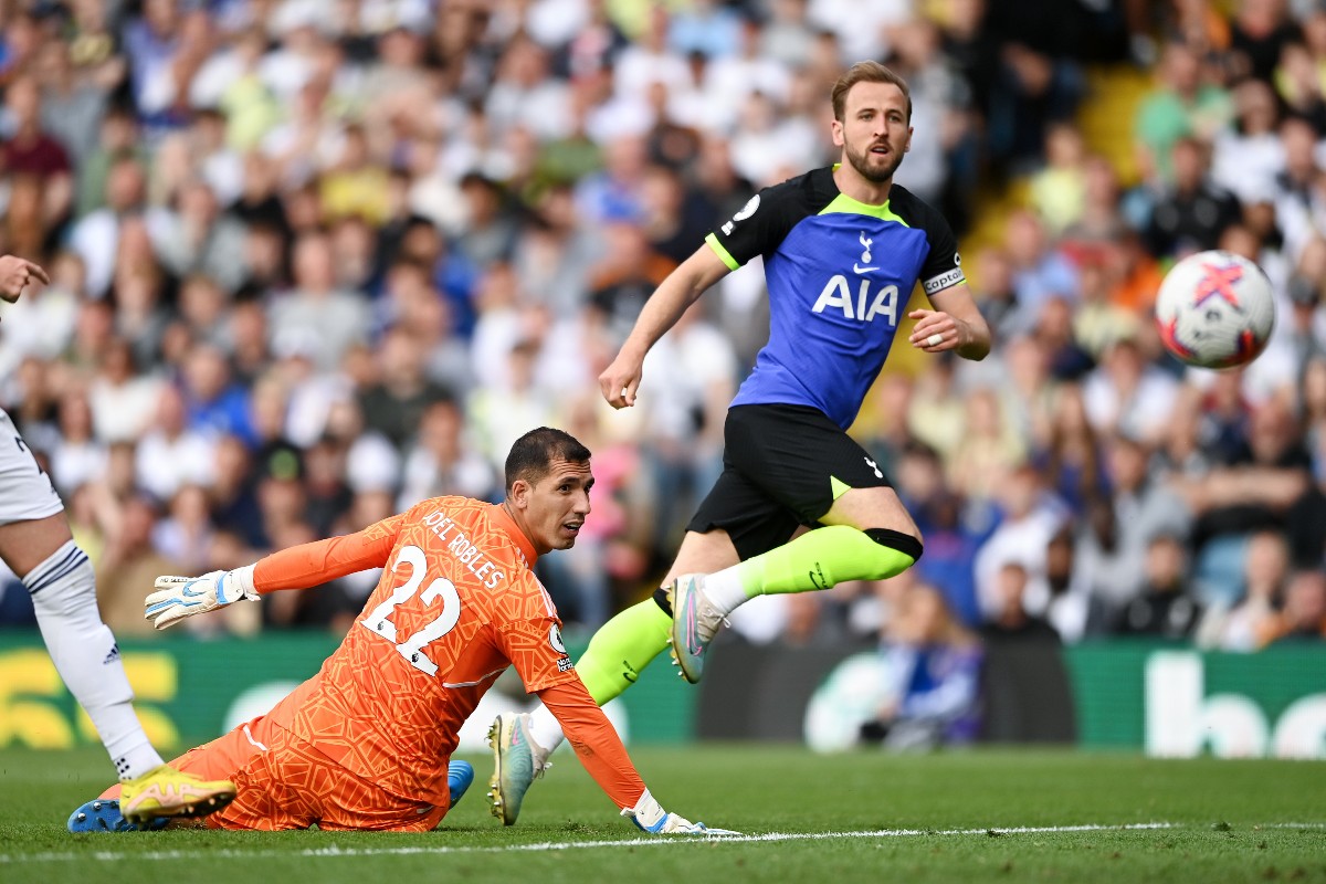 kane tottenham