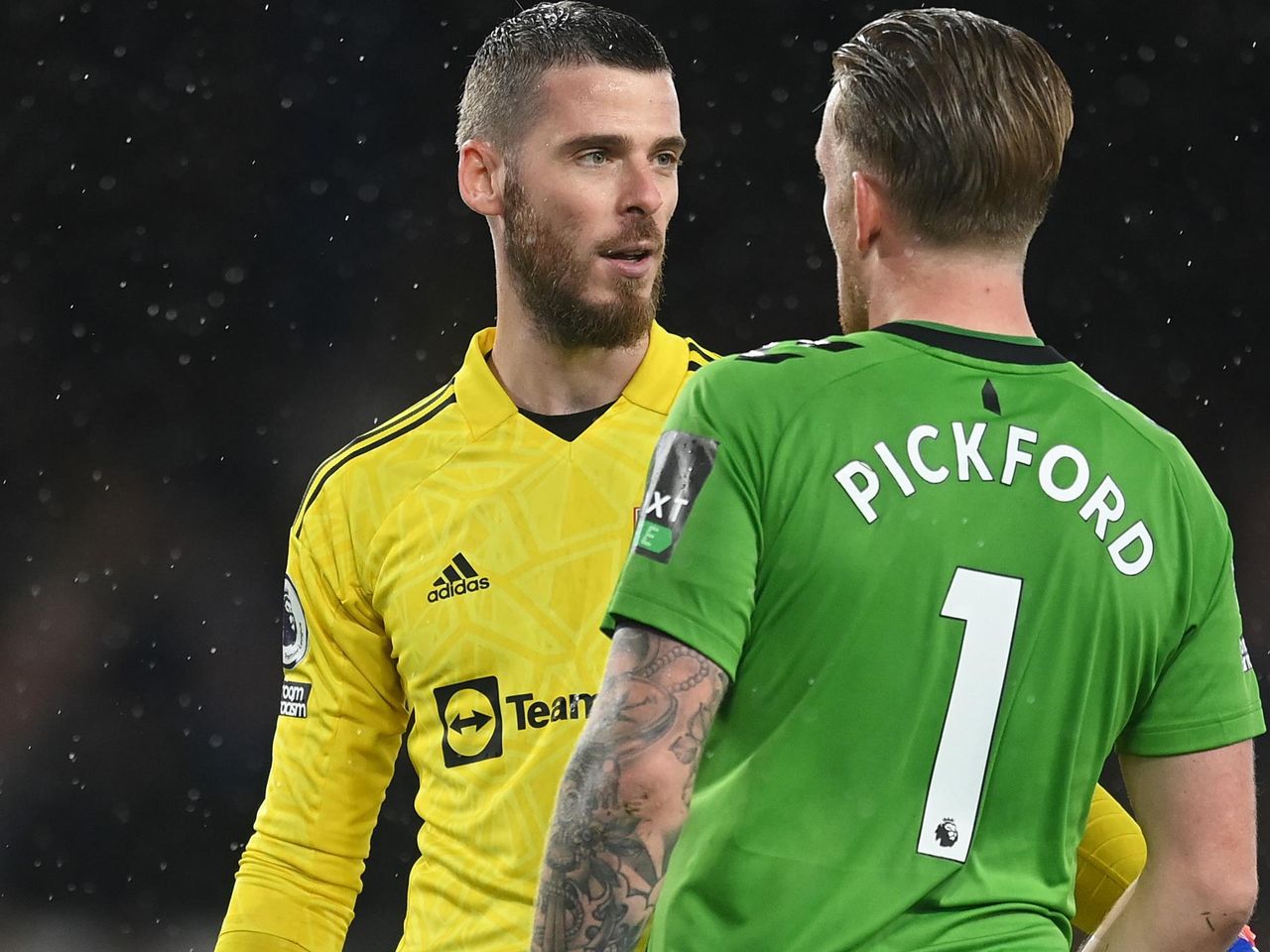 de gea pickford pic