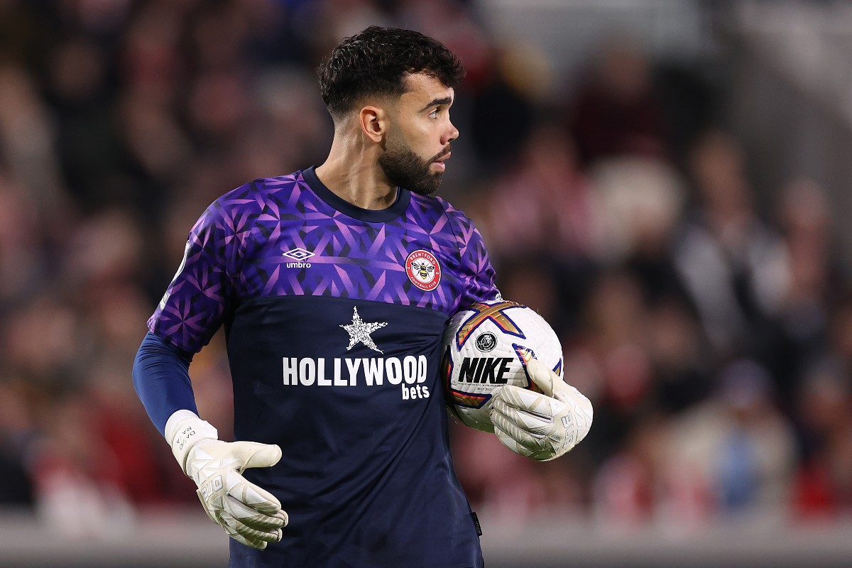 brentford brighton david raya