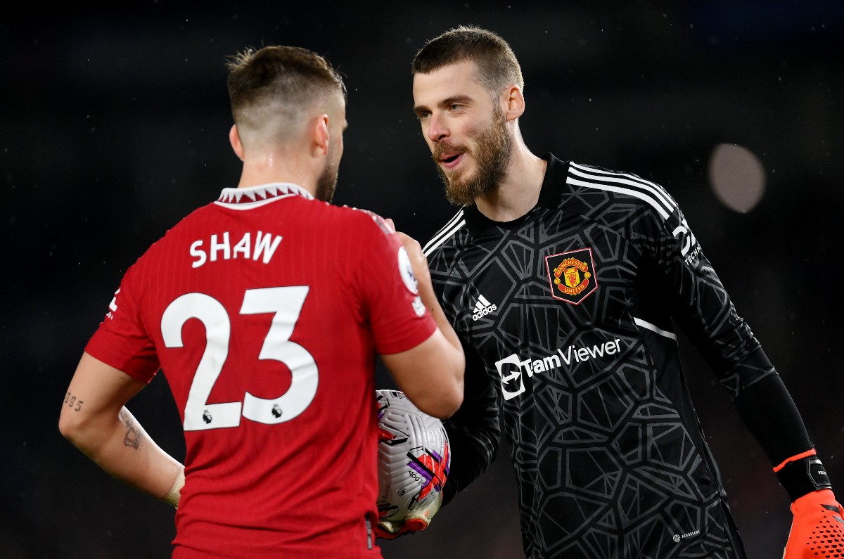brighton man utd shaw de gea