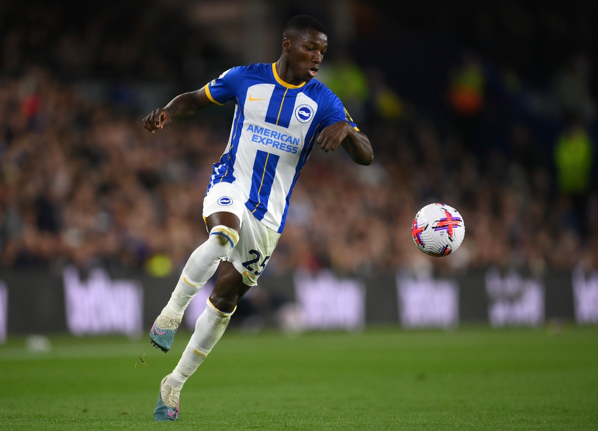 brighton caicedo brighton caicedo
