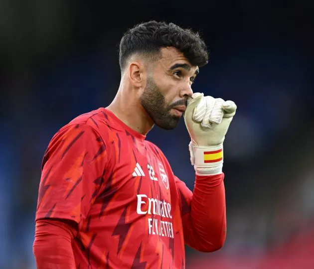 arsenal gk david raya