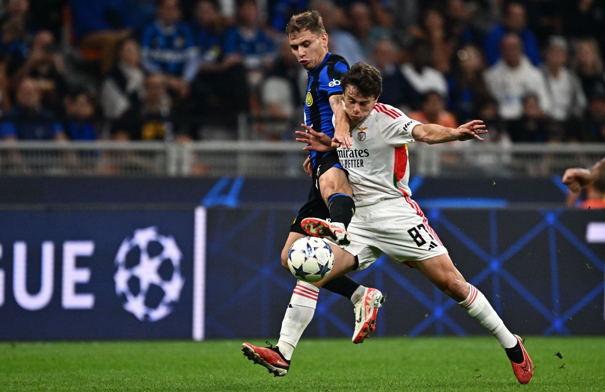 inter milan benfica joao neves
