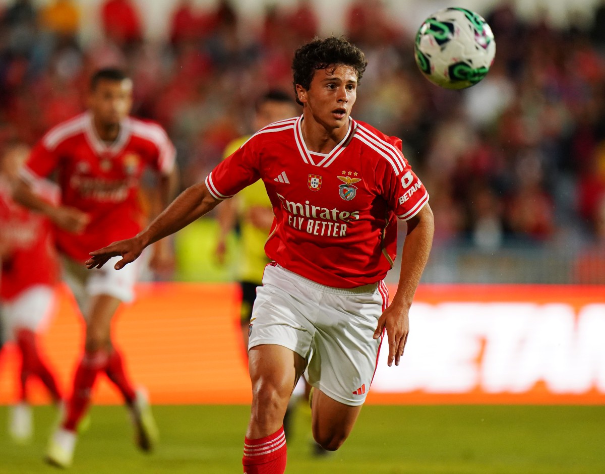 joao neves 2023 joao neves 2023