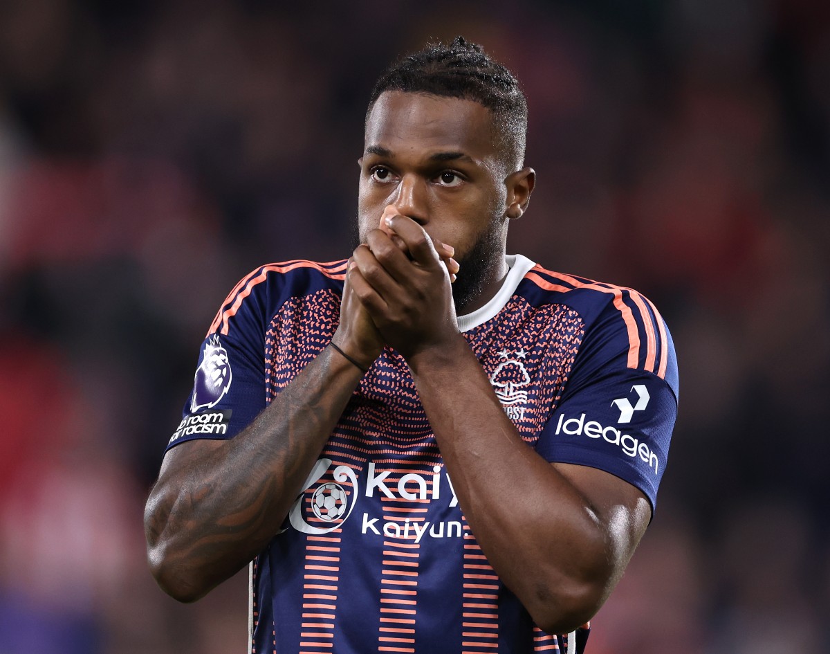 brentford forest nuno tavares brentford forest nuno tavares