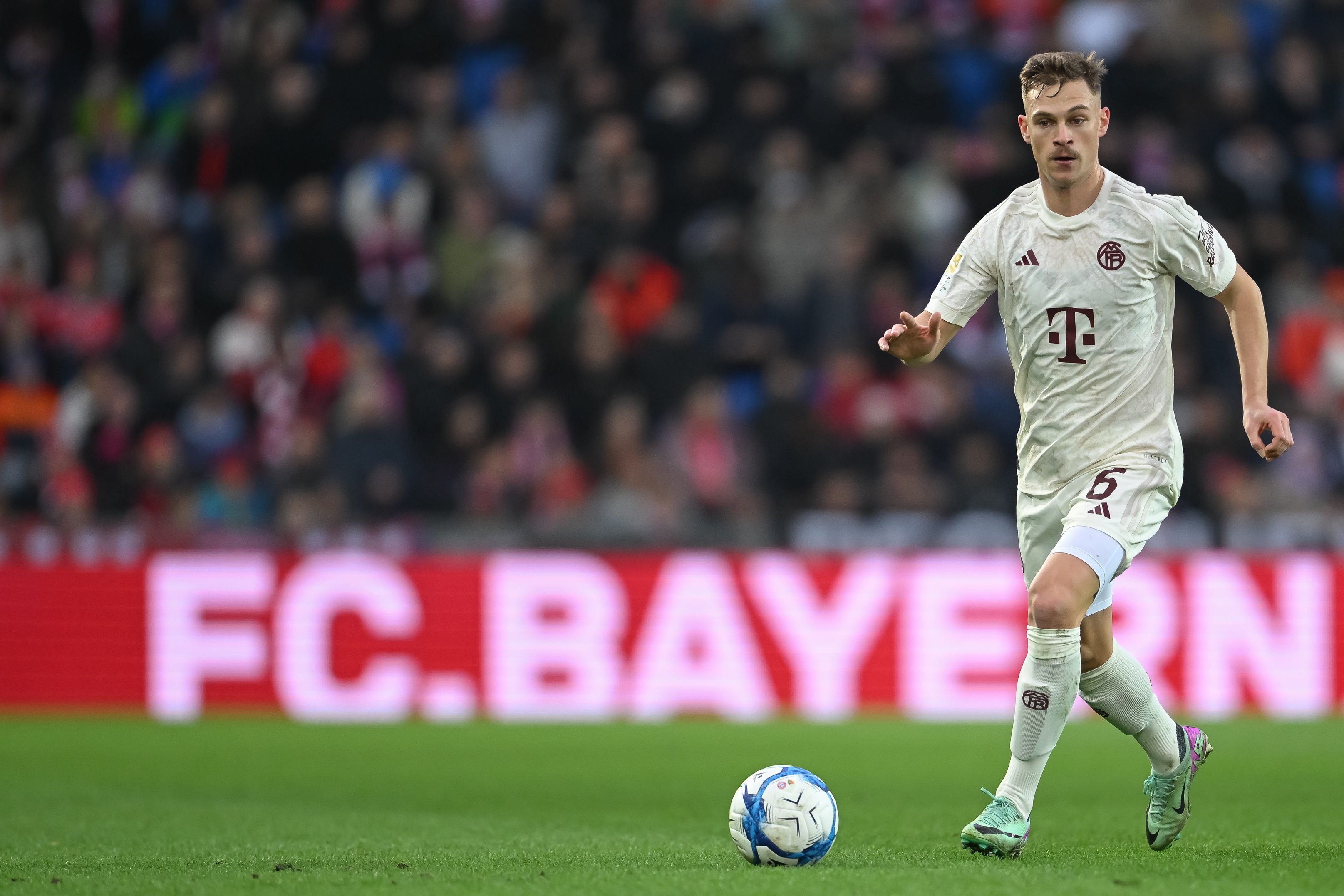 Falk, Bayern, Dragusin Falk, Bayern, Dragusin