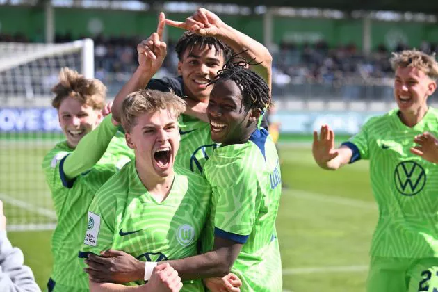 wolfsburg hoffeinheim youth