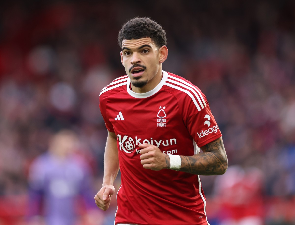 Morgan Gibbs-White Forest LFC Tottenham want to sign Morgan Gibbs-White.