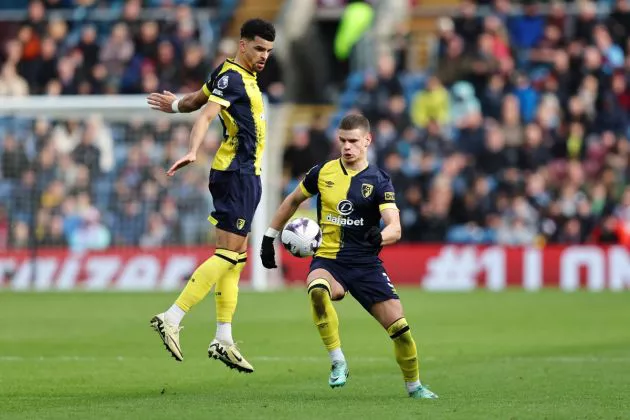 bournemouth solanke kerkez
