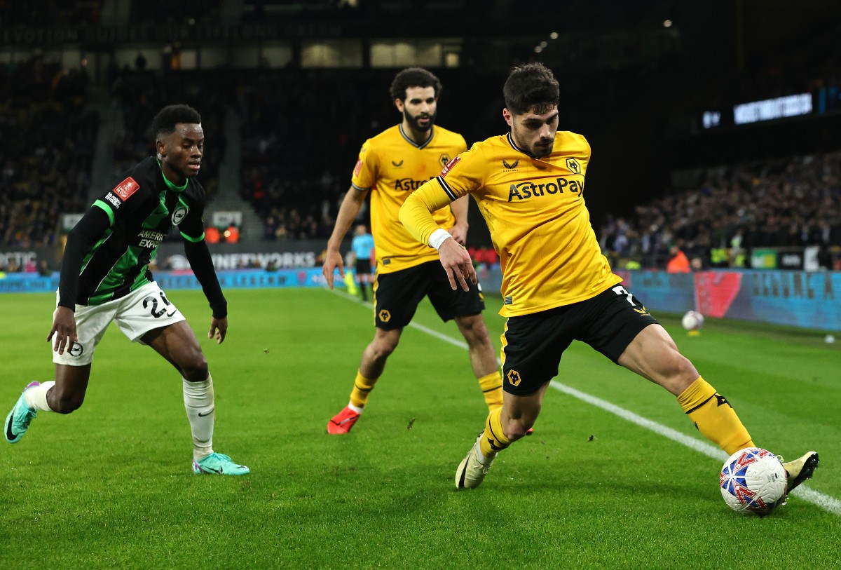 brighton wolves neto image