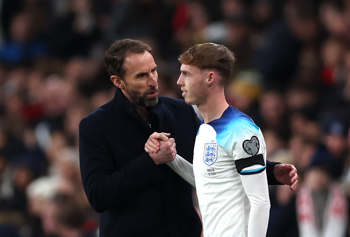 england southgate palmer