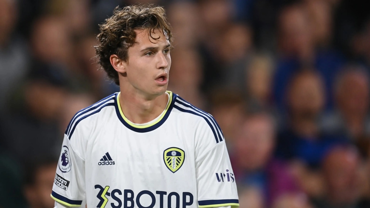 Brenden Aaronson Leeds United Championship