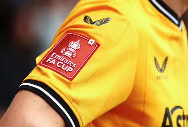 emirates fa cup badge on sleeve