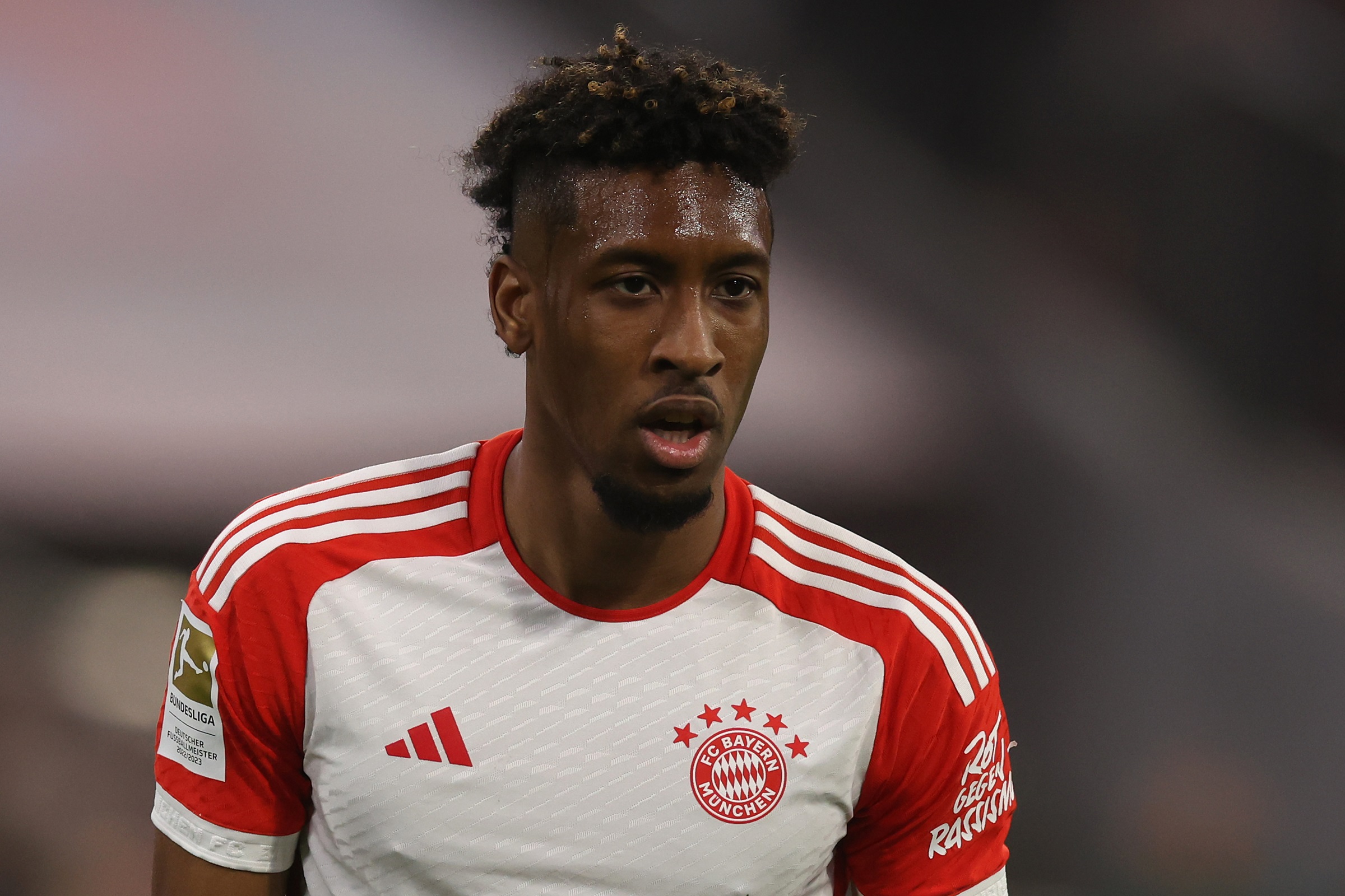 Falk, Coman