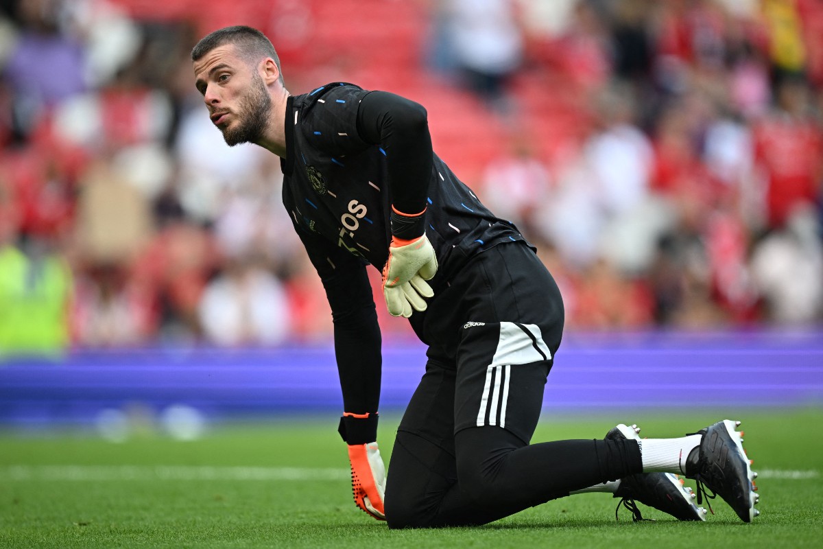 utd fulham david de gea