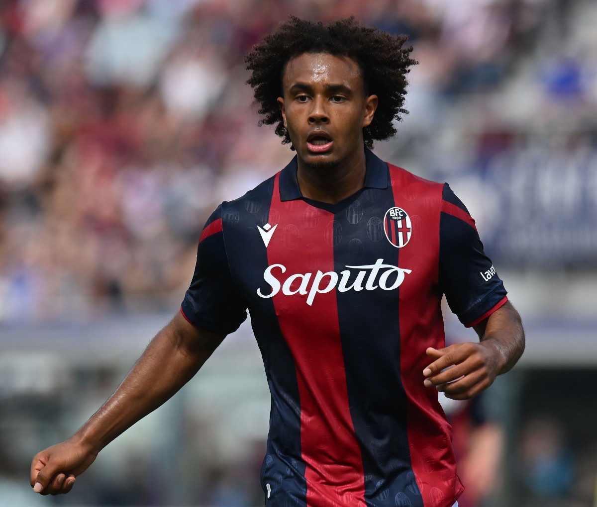 Bologna striker Joshua Zirkzee