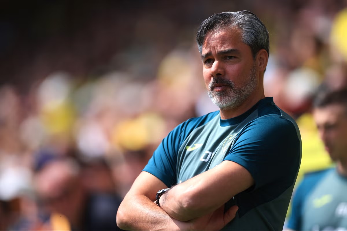 David Wagner Norwich City David Wagner Norwich City Championship
