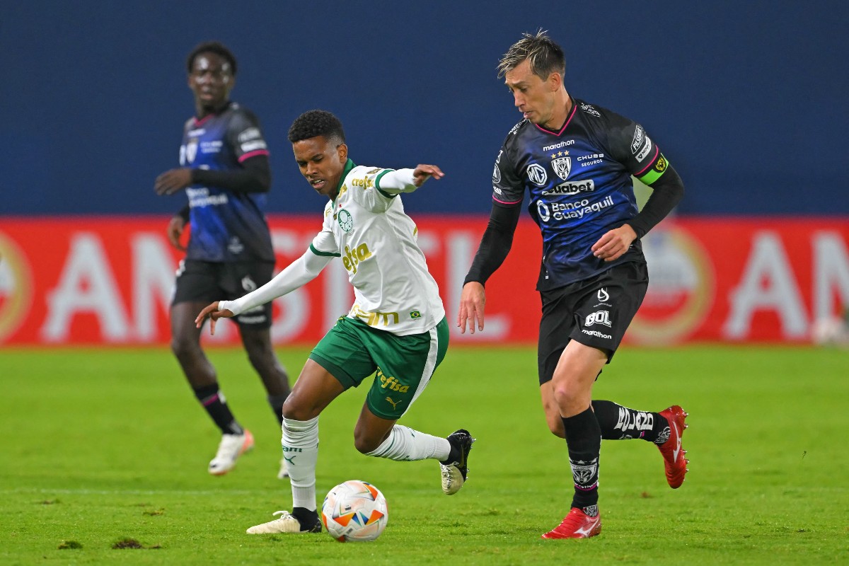 estevao palmeiras 2024