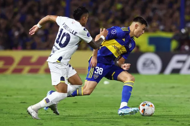 boca anselmino