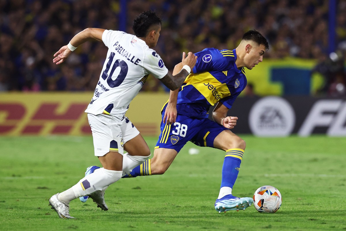 boca anselmino