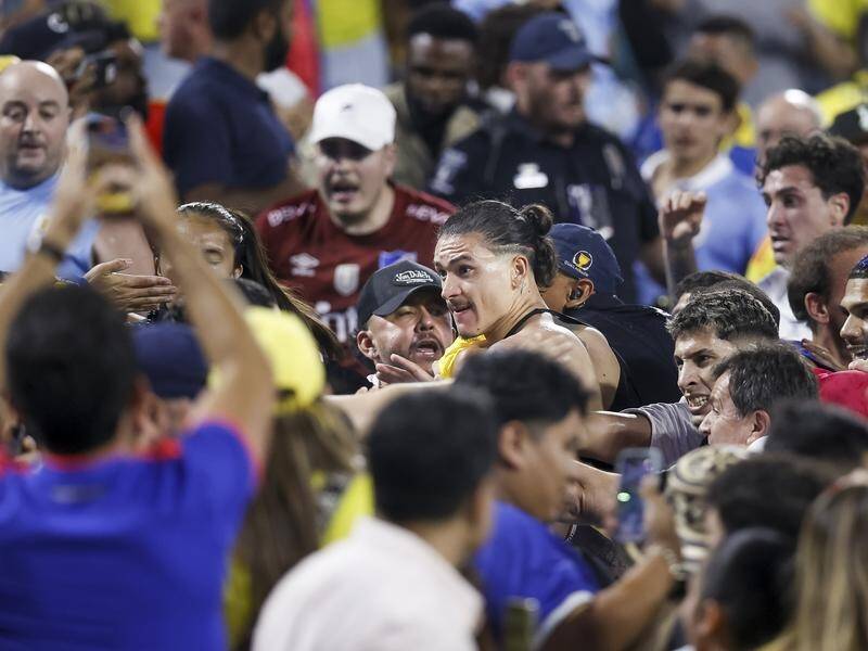 Liverpool's Darwin Nunez facing lengthy ban after Copa America brawl