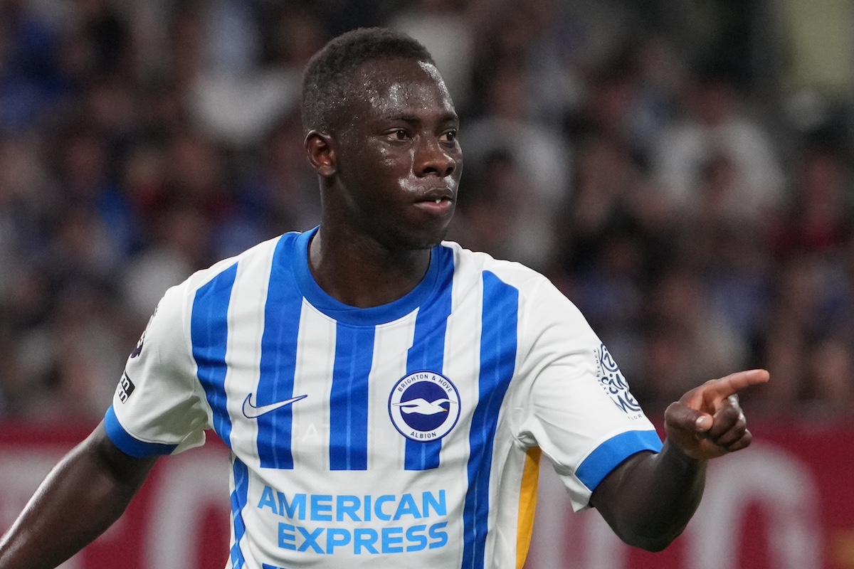 Yankuba Minteh Brighton