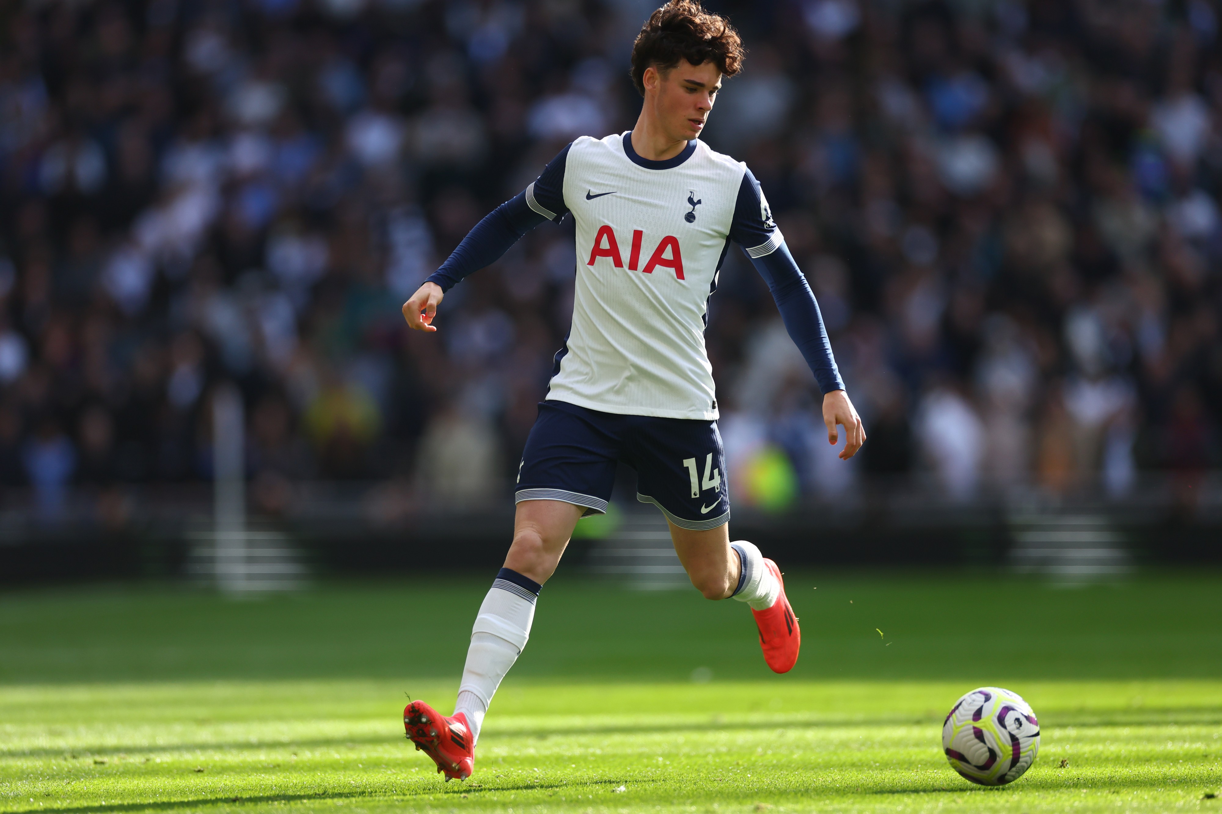 Sevilla want Tottenham's Archie Gray Sevilla want Tottenham's Archie Gray