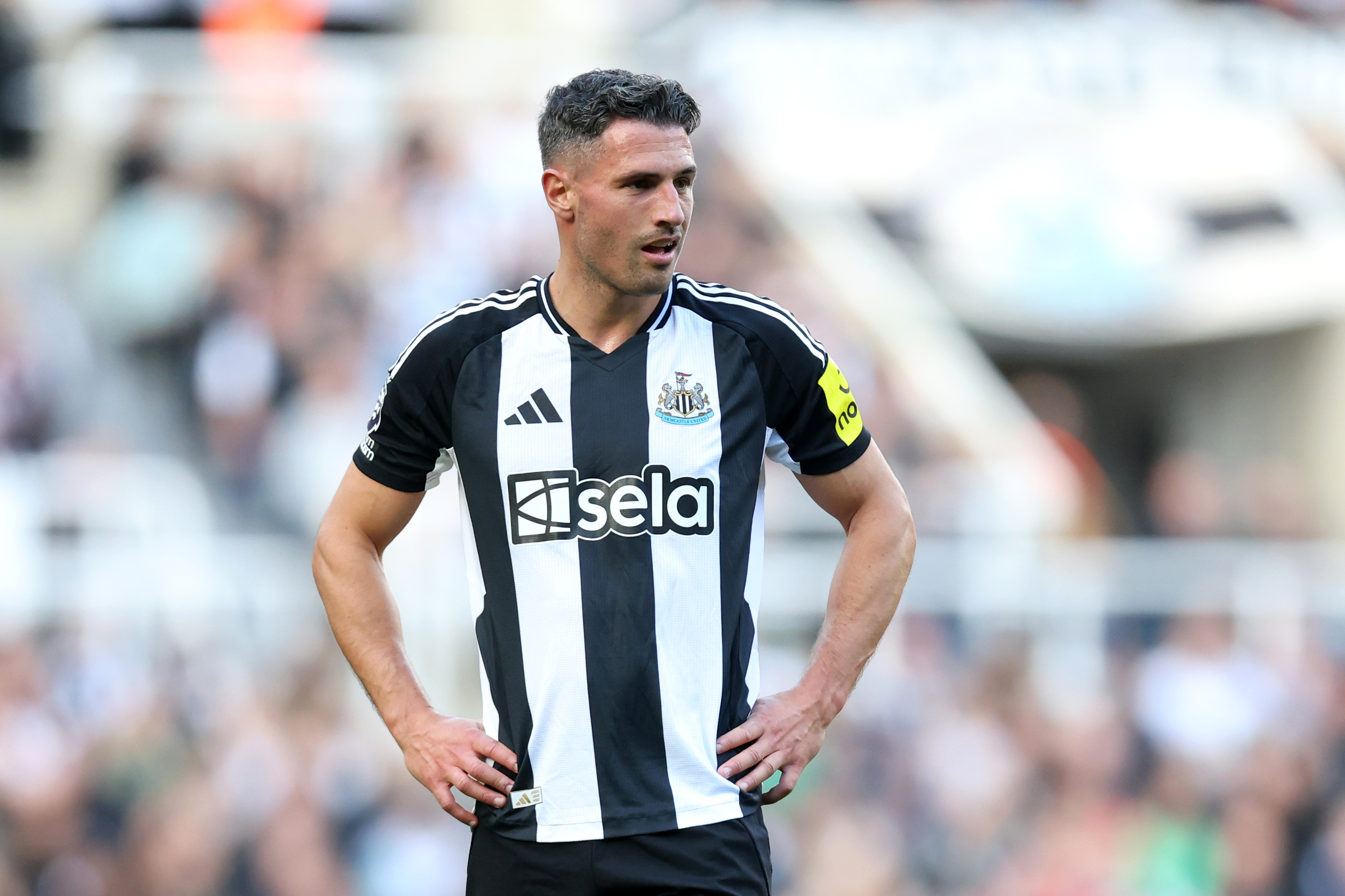 Fabian Schar pictured during Newcastle's Premier League match against Brighton.